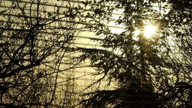 Closing and opening jalousie on lovely sunset sunrise