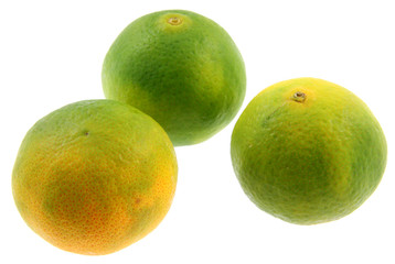 clémentines agriculture biologique fond blanc