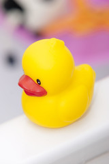 Bath duck