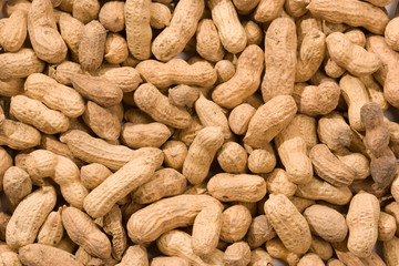 peanut