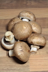 Champignons