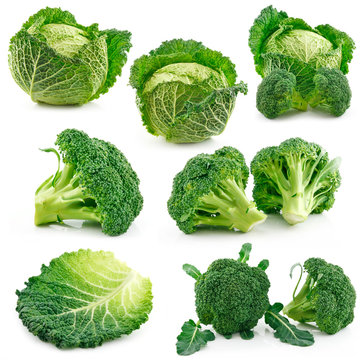 Set of Ripe Broccoli and Savoy Cabbage