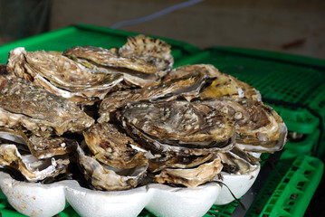 plateau d'huitres