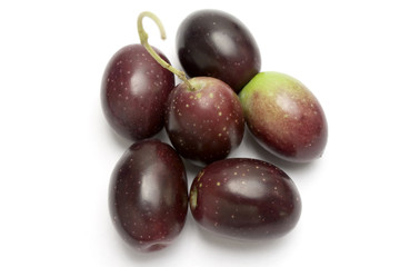 one olive on branch isolated in white background