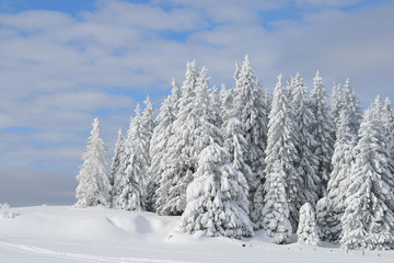 Naklejka premium Winterlandschaft