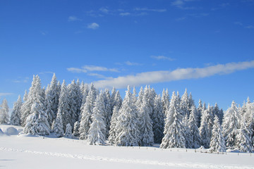 Winterlandschaft
