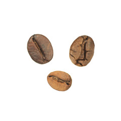 Coffee seeds isolated on white