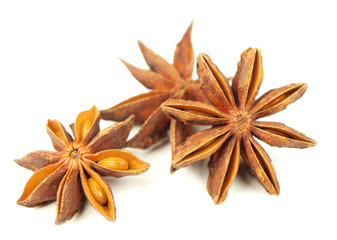 Badian isolated on white