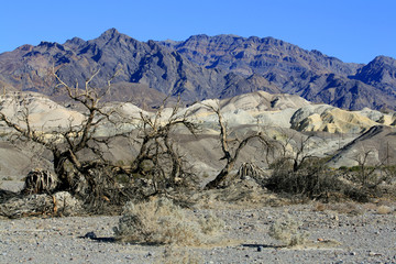 Vallée de la Mort USA