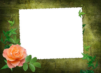 White frame with red rose on the abstract background