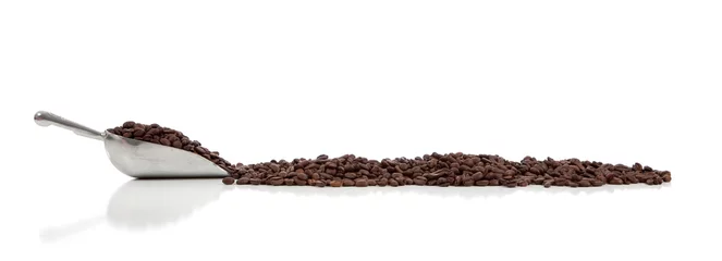  A silver scoop with coffee beans on white © Michael Flippo