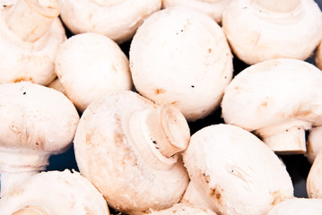 champignon mushrooms