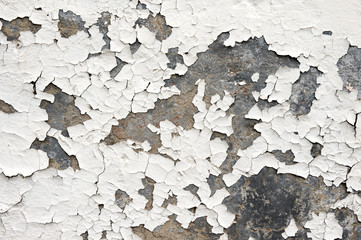 Flaking White Paint on Wall