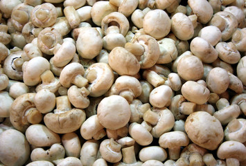 Mushroom