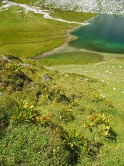 Lac de la Plagne, Vanoise