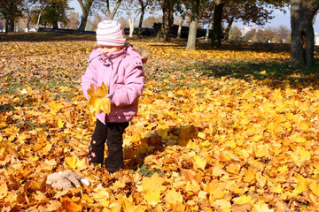 Little girl playing with foliage