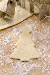 Christmas cookie cutter.Christmas tree shape.