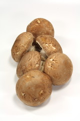 braune Champignons