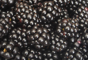blackberry