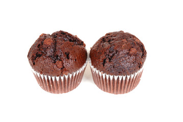 Two chocolate muffins