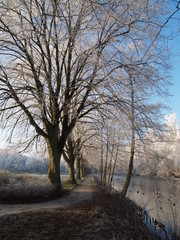 Stadtpark im Winter