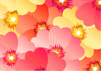 Vector floral background with big colorful  flowers