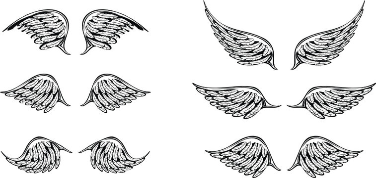 wings set tattoo in vector format