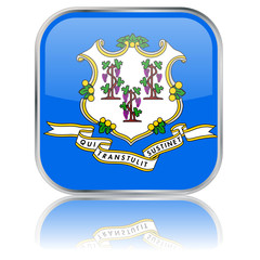 Connecticut State Square Flag Button (vector with reflection)
