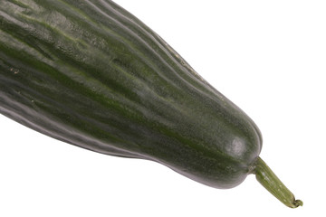 Cucumber