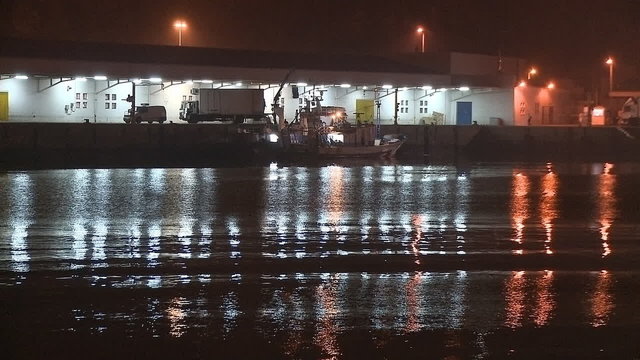 Fishing Boats Unloading Fish By Night