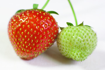 Strawberries