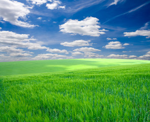 Obraz premium agriculture