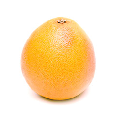Grapefruit isolated