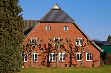Fototapeta na wymiar Dom wiejski w Schleswig Holstein
