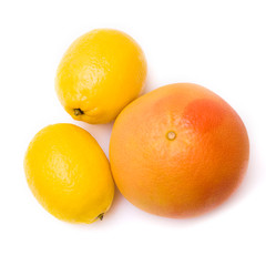 Grapefruit and lemon