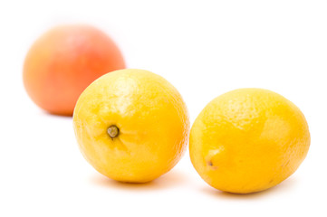 Grapefruit and lemon
