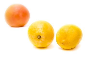Grapefruit and lemon