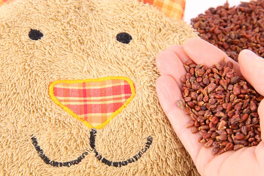 Pillow with grape seeds, Traubenkerne