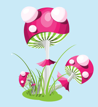 Mushrooms_of_ Muhamor