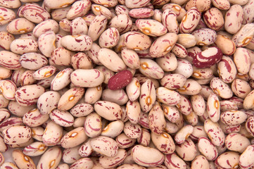 fagioli borlotto legume verdura