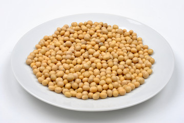 organic soya beans are a good alternative instead of meat