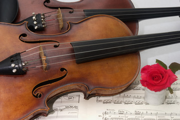 Naklejka premium Viola, violino, flauto traverso e rosa