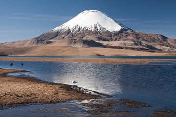 Le Licancabur