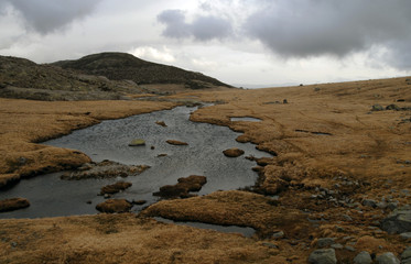 Paisaje en Gredos
