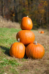 stack Pumpkins