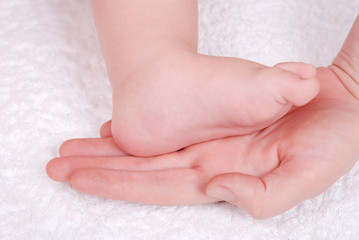 Baby feet in mommy's hands