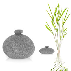 Zen Garden Abstract