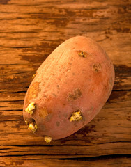 old brown potato