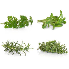 Parsley Sage Rosemary and Thyme