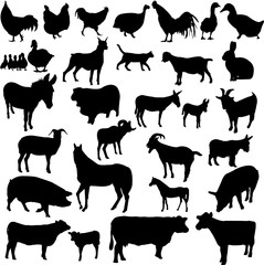 farm animals collection  - vector